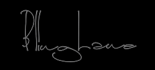 Blinglane Logo