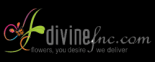 Divine FnC Logo