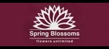 Spring Blossoms Logo